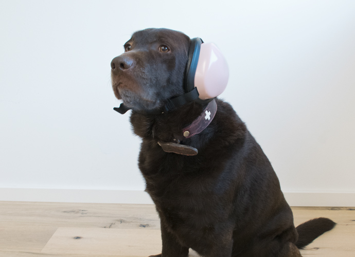 Hunde-Gehörschutz